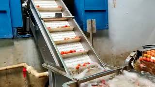 TOMATO ,LEMON ,CHILLY WASHING & CLEANING PROCESSING LINE BY SUJAY INDUSTRIES PEENYA BANGALORE