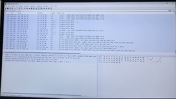 lab 8 in wireshark (DHCP)