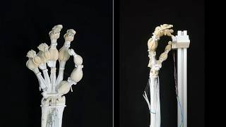 This Robotic Hand Feels Shockingly Real!