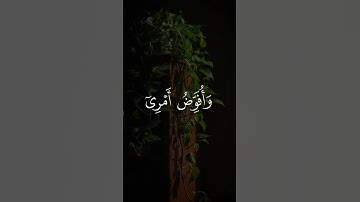 تلاوه من سورة غافر|بصوت الشيخ أبو بكر الشاطري🎧♥️#trending #quran #قران_كريم #راحة_نفسية #قرآن