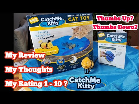 catchme-kitty-cat-toy-review...-as-seen-on-tv...-does-it-get-a-nip?-or-a-nap?