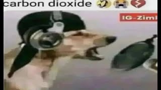 shitpostatus and memes compilations v102