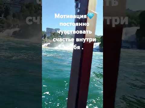 3 октября 2024 г.