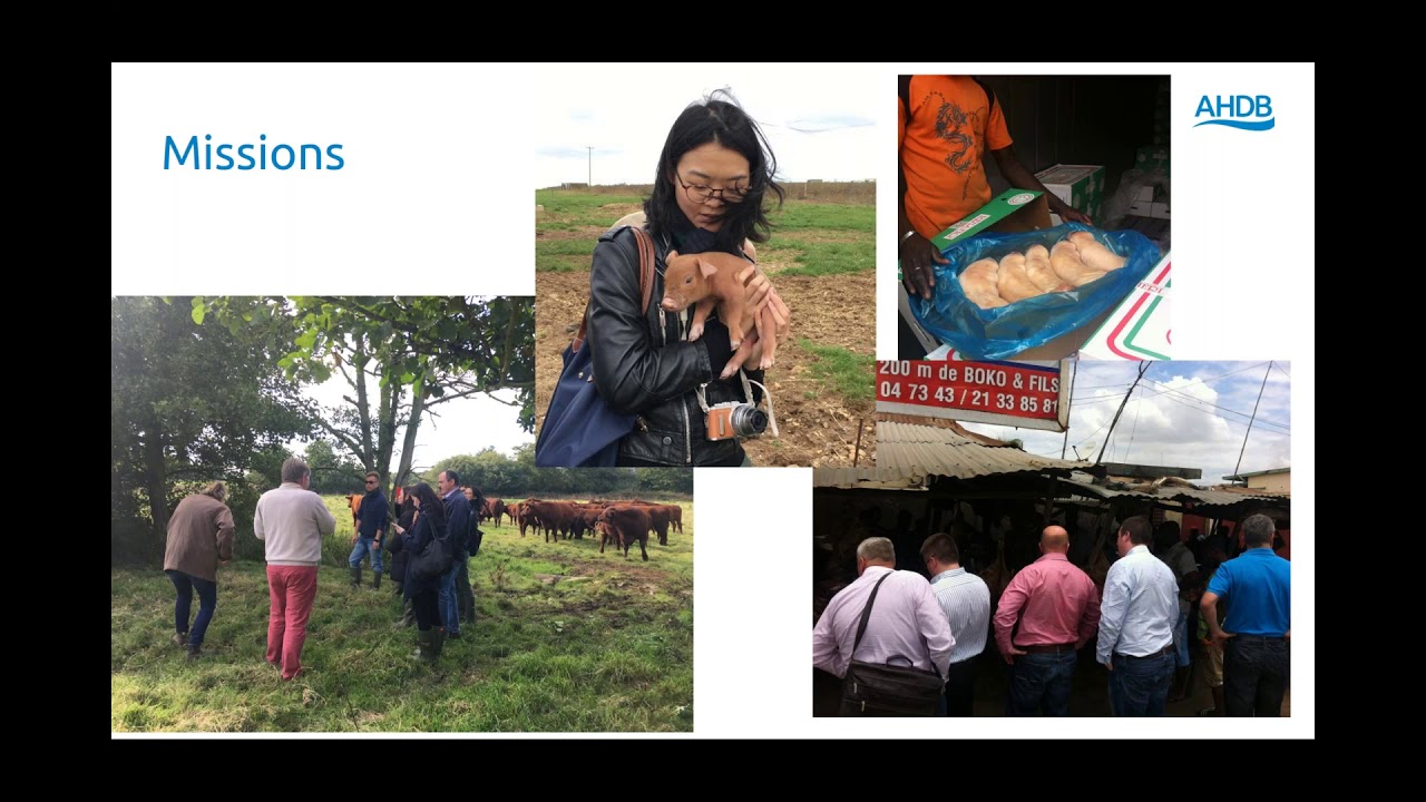 Red meat export activity and plans for the future