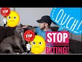 EASY Training TIP to get any Dog to STOP BITING!