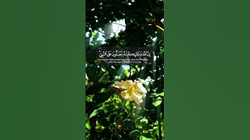 ﴿إِنَّ اللَّهَ وَمَلائِكَتَهُ يُصَلّونَ عَلَى النَّبِيِّ ..﴾ #سورة_الأحزاب #قرآن #quran #أحمد_خضر