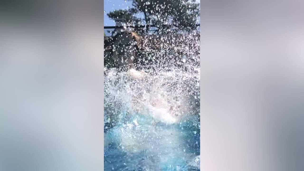 AquaQuest Swim Camp!