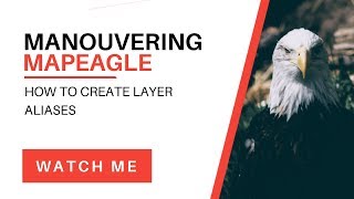 Famous MapEagle - How to Create Layer Aliases Profile