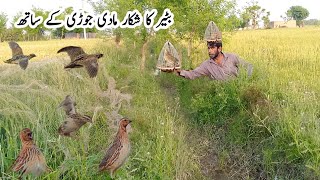 Batair ka shikar | Kirak aur Jal k sath Shikar | Quail Hunting 2026 | How to Catch Common Quail screenshot 5