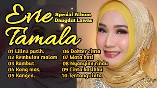 🎸 Dangdut lawas bikin ingat masa muda, koleksi lagu Evie Tamala paling enak buat santai sore screenshot 3