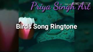 Birds Song Ringtone. screenshot 5