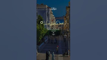 #القرآن_الكريم سورة الفيل#راحة_نفسية #اكسبلور #دويتو #تيك_توك #لايك #راحة_نفسية #حالات_واتس #duet