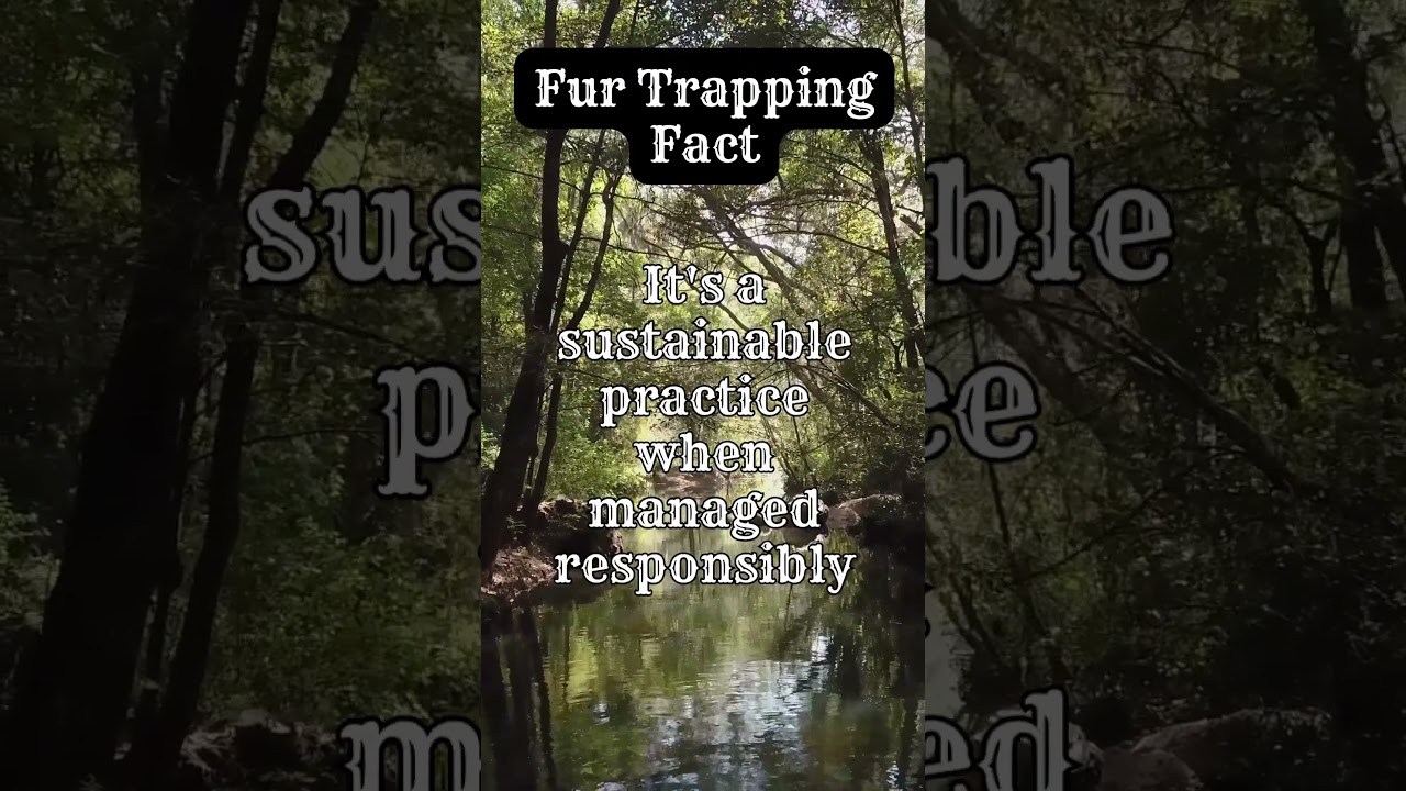 Fur Trapping is one of the most effective forms of #wildlife  #conservation