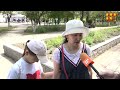 Цветочный коллапс