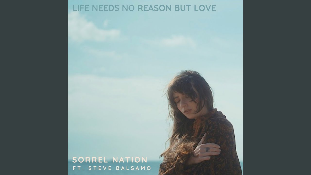 Life Needs No Reason but Love