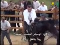 حصان عربي يركل أردوغان ويسقطه أرضا