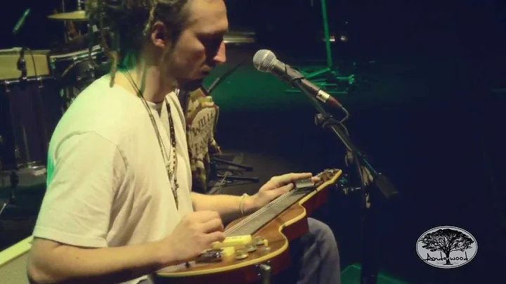 Anderwood Electric Lap Steel ELS Demo - Wille and ...