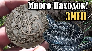 видео: Коп монет на древней дороге! Поиск металлоискателем! Не ожидали найти такие находки! Коп по старине! картинка: Коп монет на древней дороге! Поиск металлоискателем! Не ожидали найти такие находки! Коп по старине!