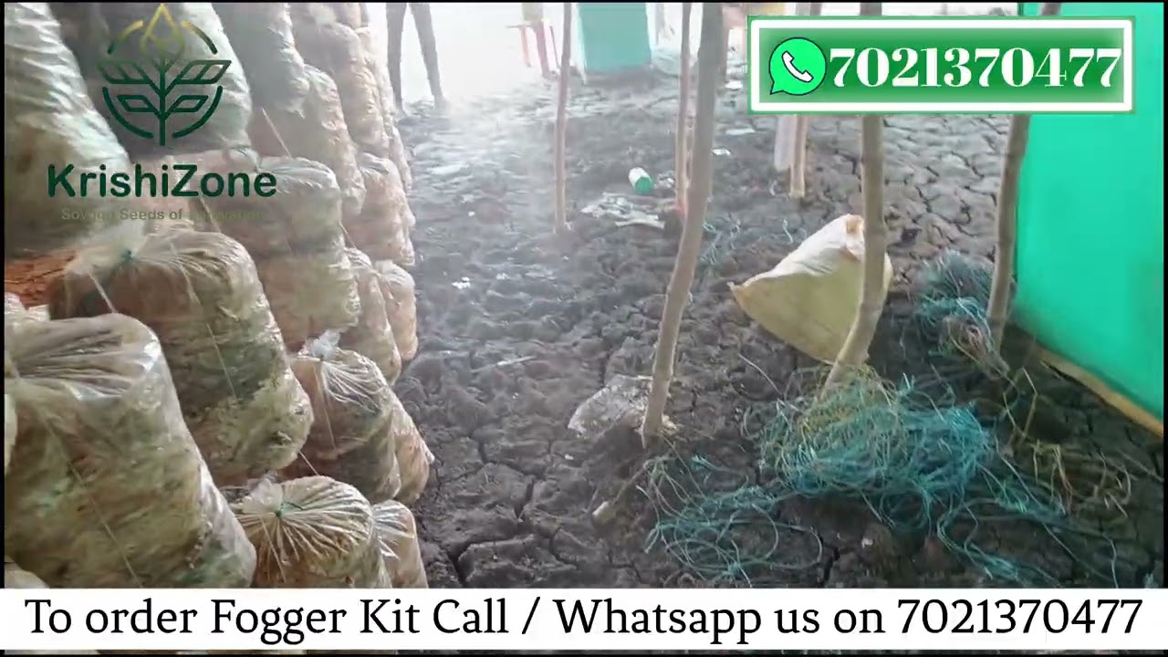 Fogger Kit for Oyster Mushroom | Order On 7021370477