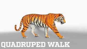 Quadruped Walk Cycle | Tiger | Maya 3D Animation