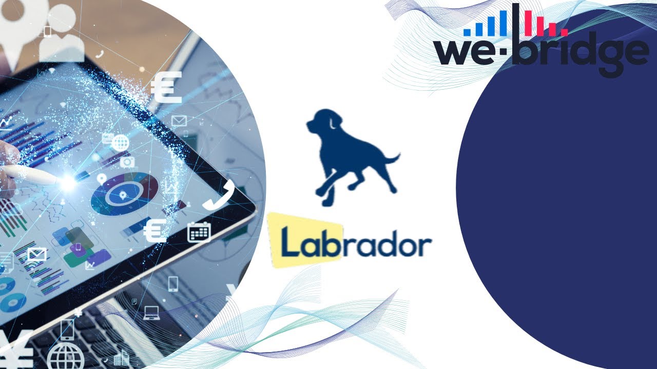 Labrador - Identify OSS With Precision