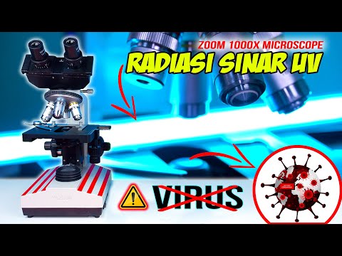 EFEK RADIASI SINAR UVC TURBO vs VIRUS, KUMAN, CACING | Worms vs UVC Rays Microscope Zoom 1000X