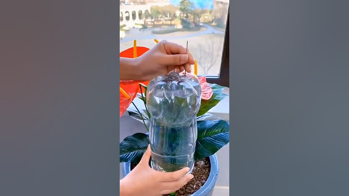 浇花神器，家里大小饮料瓶都能用，出水的快慢速度可以调节，简单方便节约用水！#浇花神器