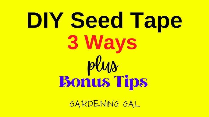 Save Planting Time With This DIY Seed Spacer 