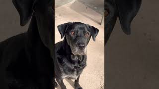 Rileyroo Is Happy To See You