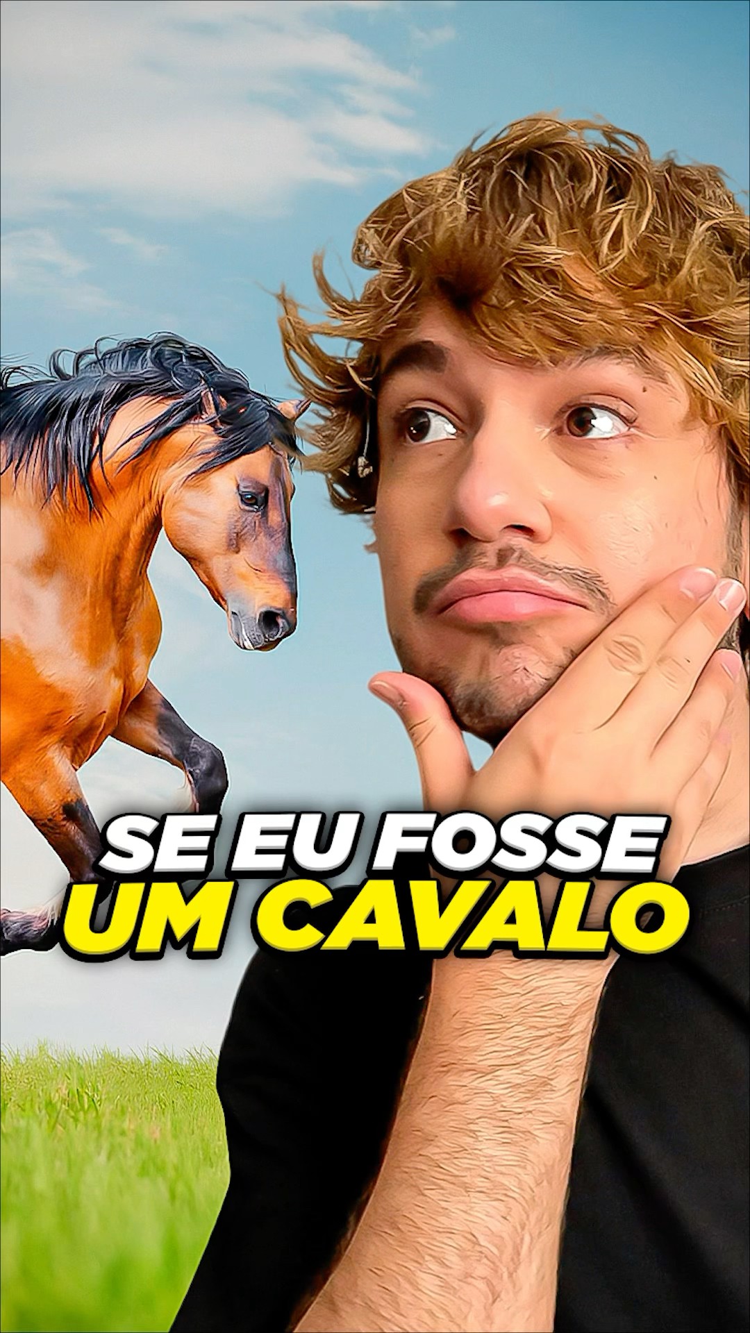 que cavalo eu seria? #livedobrino #humor #MundinhoBrino