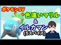 🔴【ポケモンSV】マリルの色違いレイド配布+5スパイスレイド+視聴者同士の交流所(レイド募集・ポケモン交換・ポケモン対戦・攻略情報など) 2022年12月26日 夜~翌朝の部