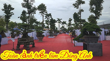 TOÀN CẢNH SÂN TRIỂN LÃM  CÂY CẢNH ĐÔNG ANH 2022