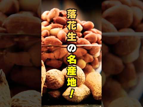 【八街】千葉に来たら絶対食べて！！落花生ソフトクリーム🥜✨【酒井のピーナツ】#千葉グルメ #酒井のピーナッツ#shorts #千葉名物