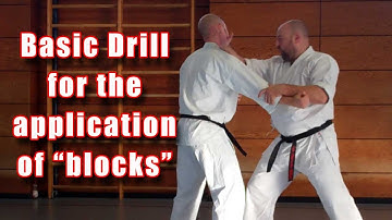 Practical Kata Bunkai: basic drill for the application of “blocks”