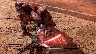 Elden Ring - Destroying Godfrey, First Elden Lord DUAL KATANA POWER STANCE OP Gameplay