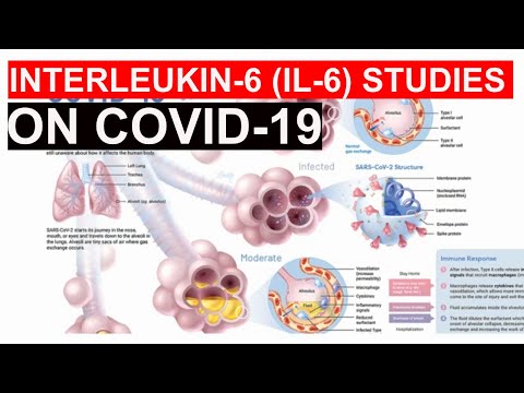 Video: IL-27 Posreduje Upravna Regulacija Razreda HLA Razreda I, Ki Jo Lahko Zavira Pot IL-6, V Celicah Majhnega Celičnega Raka Pljučnega Raka, Ki Jim Primanjkuje HLA