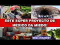 ¡INCREÍBLES TECNOLOGÌAS DE CONSTRUCCIÓN EN MÉXICO QUE VALE LA PENA VER!😱🇲🇽