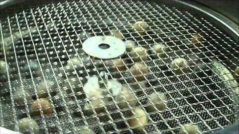 Demonstration of Vibroscreen Low-Profile Flo-Thru Sifter: Benefits of Anti-Blinding Balls