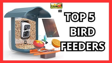 The 5 Best Bird Feeders With Cameras on Amazon