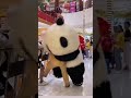 Cute Panda 🐼 In Mall😍🔥