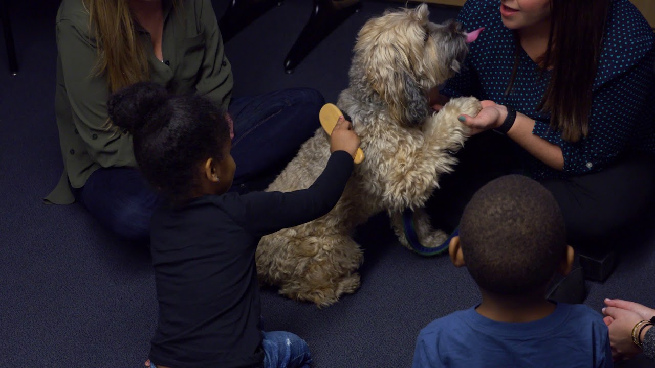 Kennedy Child Study Center (Catholic Charities Centennial Series) YouTube