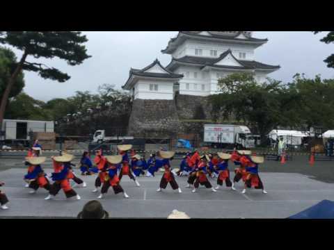 聯坊童子2016・えっさほい2日目・本丸会場