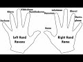 Finding Rama - Ramayan characters  as Palmistry icons