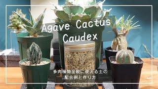 アガベ・コーデックス・サボテンなど多肉植物全般に使える土の配合例と作り方をご紹介