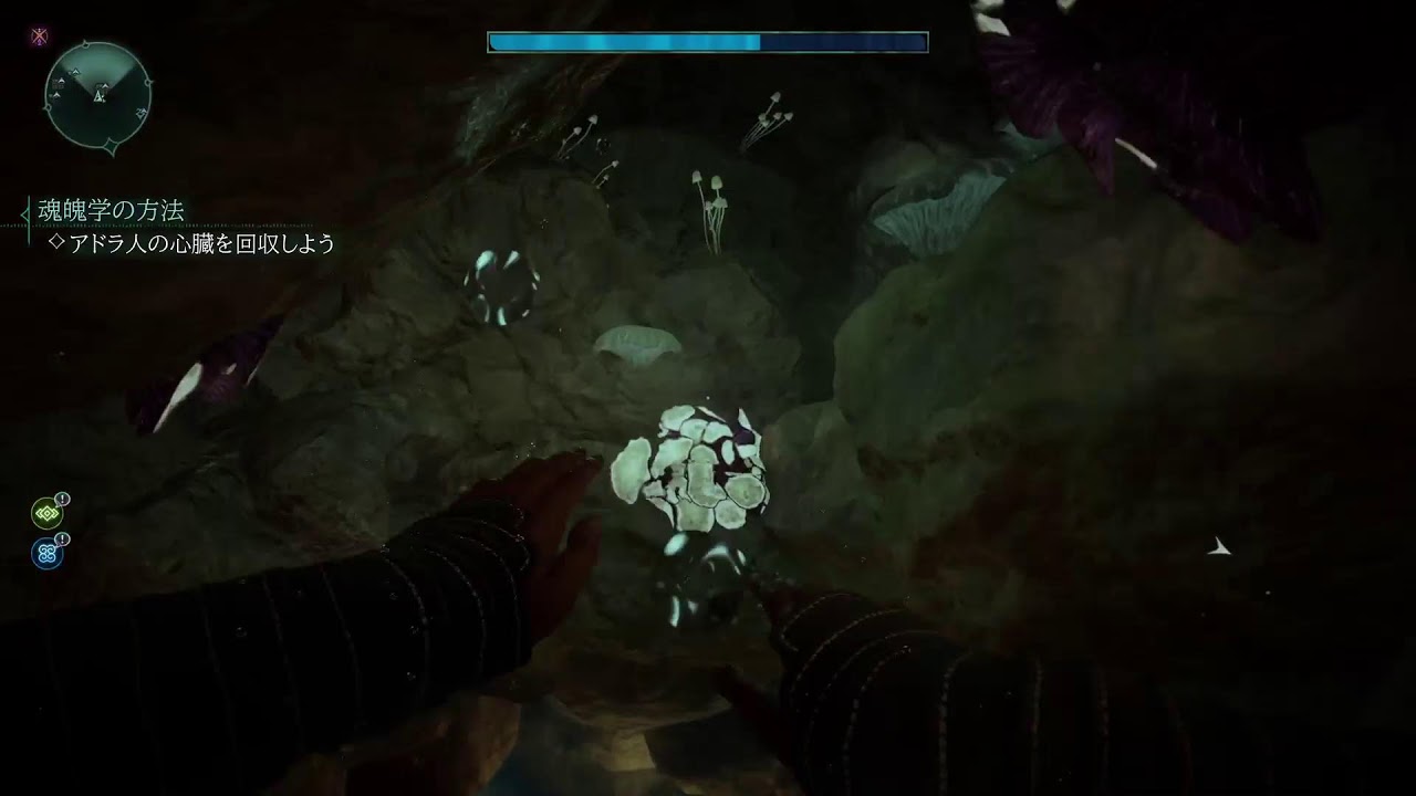 無言垂れ流し放送局　AVOWED　NewGame+