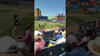 Akron Rubberducks  Kids Enjoying The Game