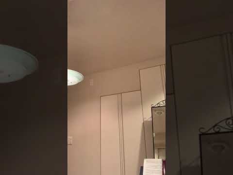 一青窈のハナミズキ歌ってみた。
