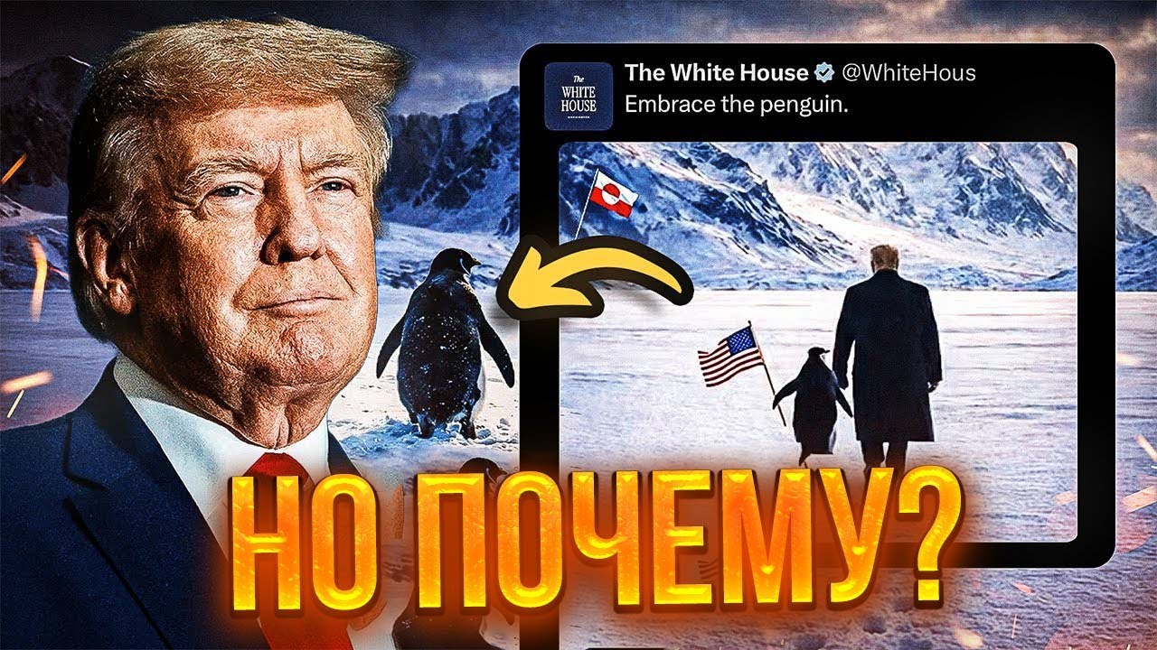 ПИНГВИН, КОТОРЫЙ ЗАСТАВЛЯЕТ ВЗРОСЛЫХ МУЖЧИН ПЛАКАТЬ