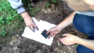 Fabularyzowana Gra Terenowa W Lesie 5