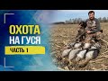 Весенняя охота на гуся в Беларуси. Часть 1 | Охота на гуся 2020